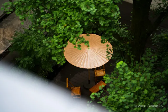 从高处俯看的树下庭院与浅色阳伞